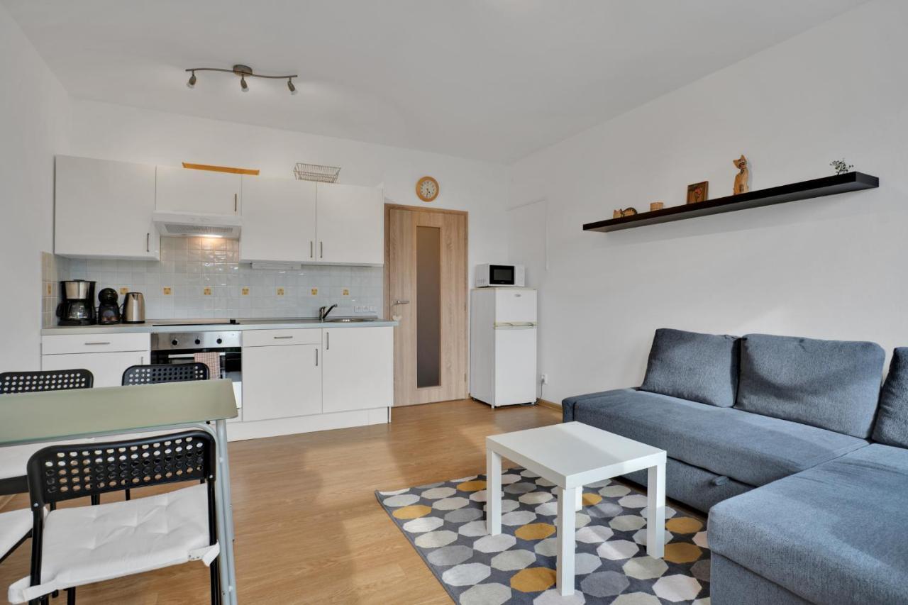 Horsky Apartman Klinovec 4 Loučná pod Klínovcem المظهر الخارجي الصورة